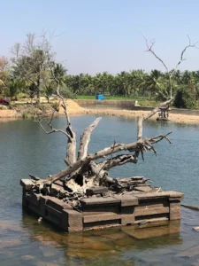 unnamed - 2025-09-23T110152.596